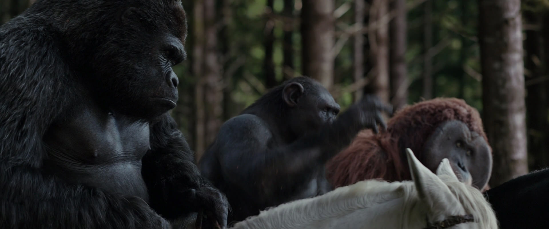 War for the Planet of the Apes (2017) screencap 3078