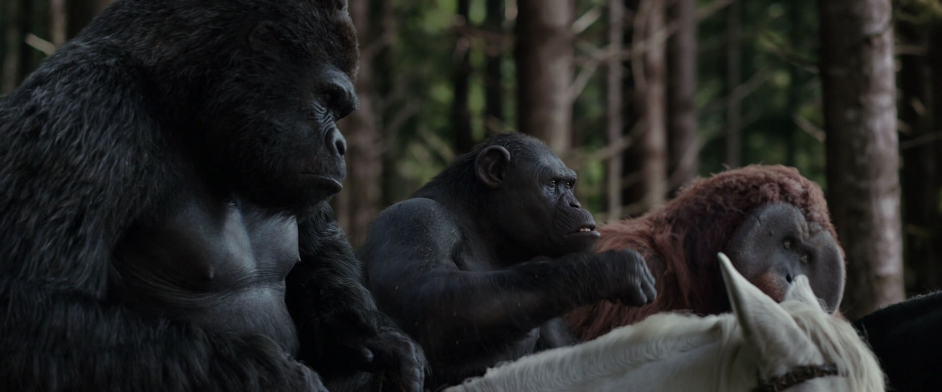 War for the Planet of the Apes (2017) movie still 3079