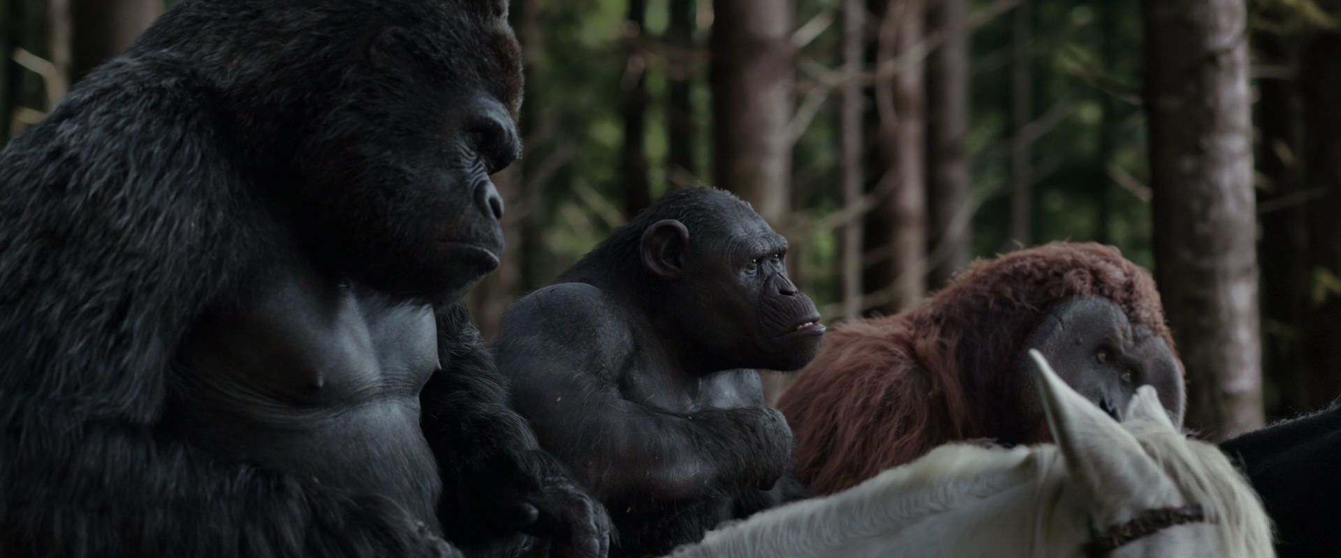War for the Planet of the Apes (2017) HD screenshot 3080