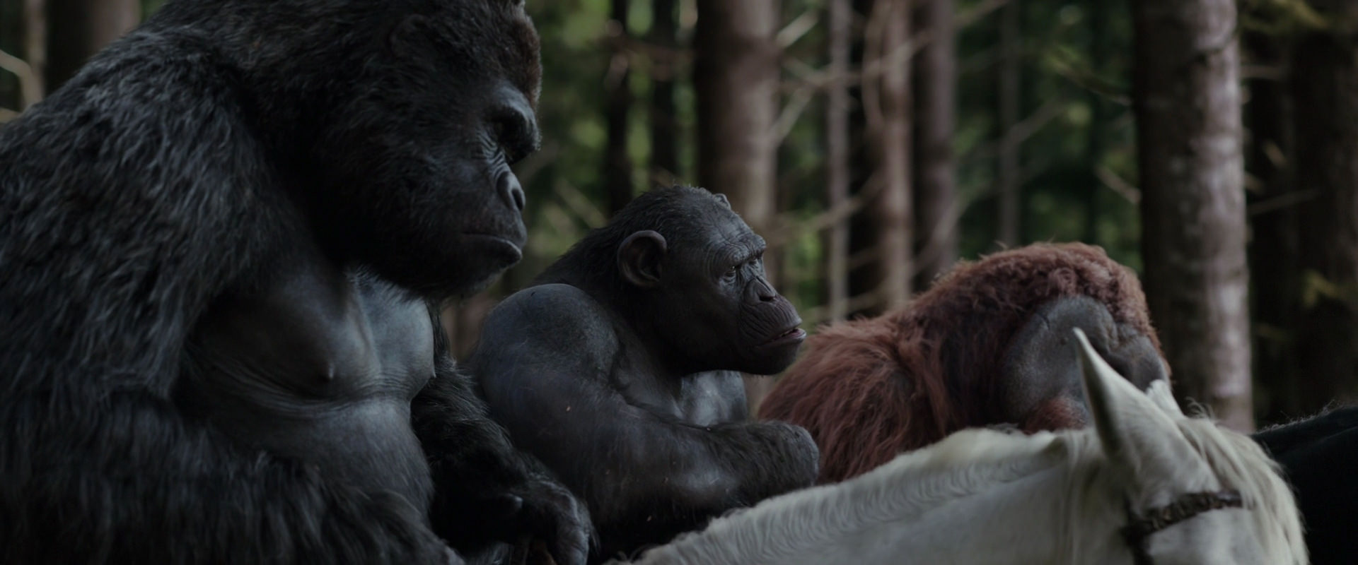 War for the Planet of the Apes (2017) screencap 3081