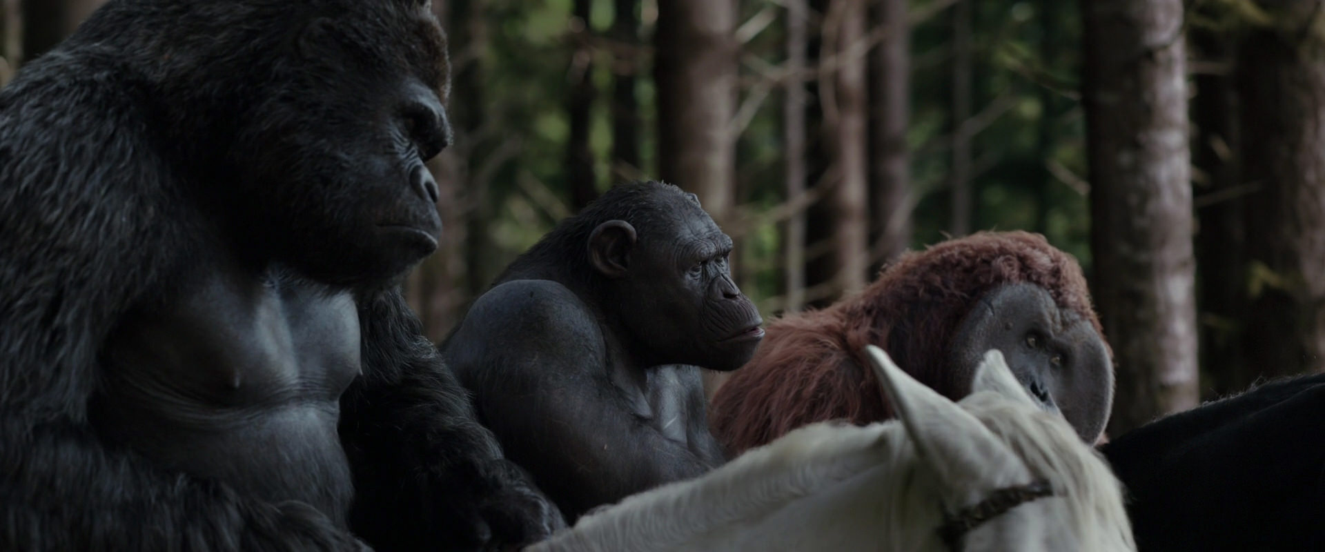 War for the Planet of the Apes (2017) HD screenshot 3083