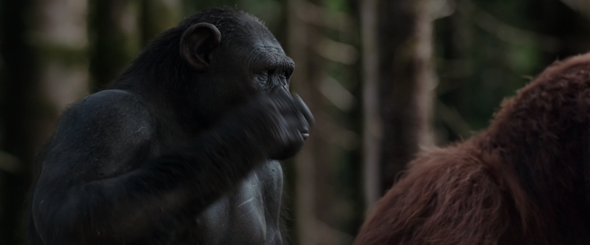 War for the Planet of the Apes (2017) screencap 3090