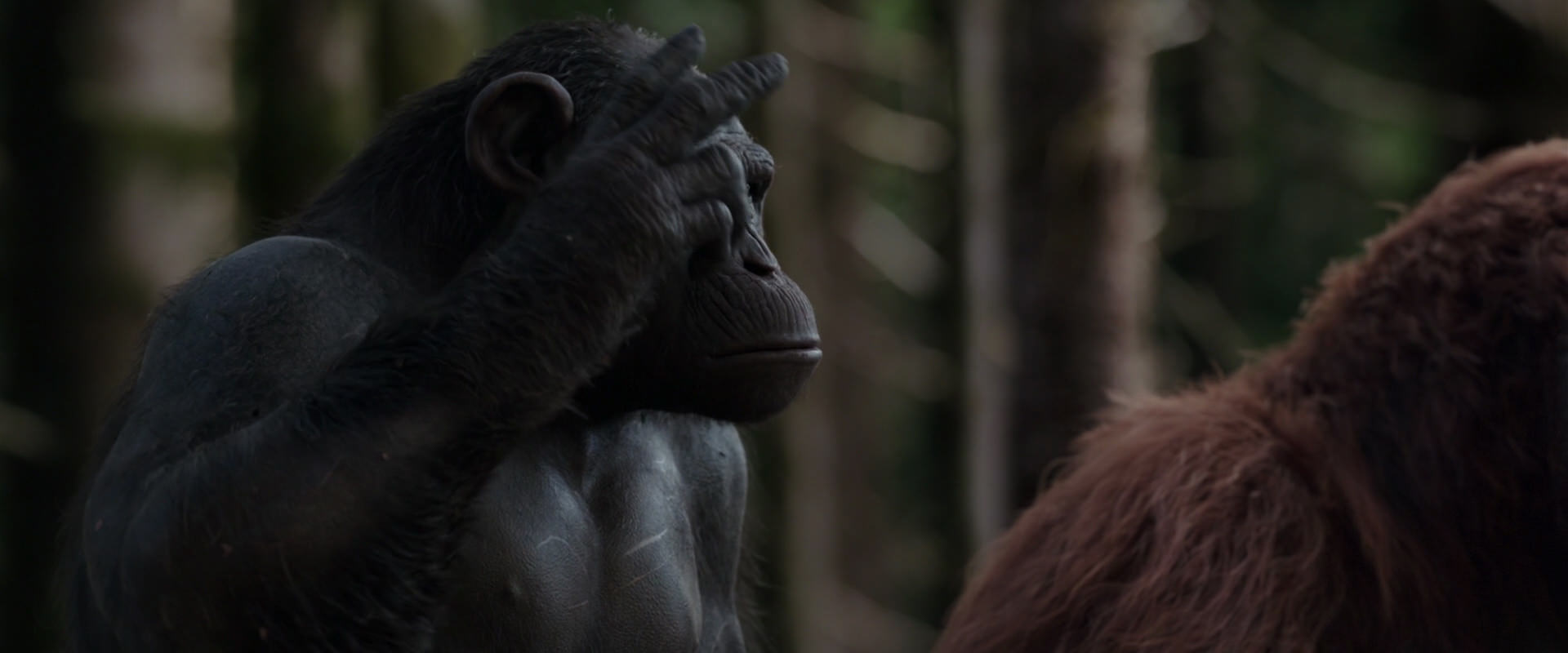 War for the Planet of the Apes (2017) movie still 3091