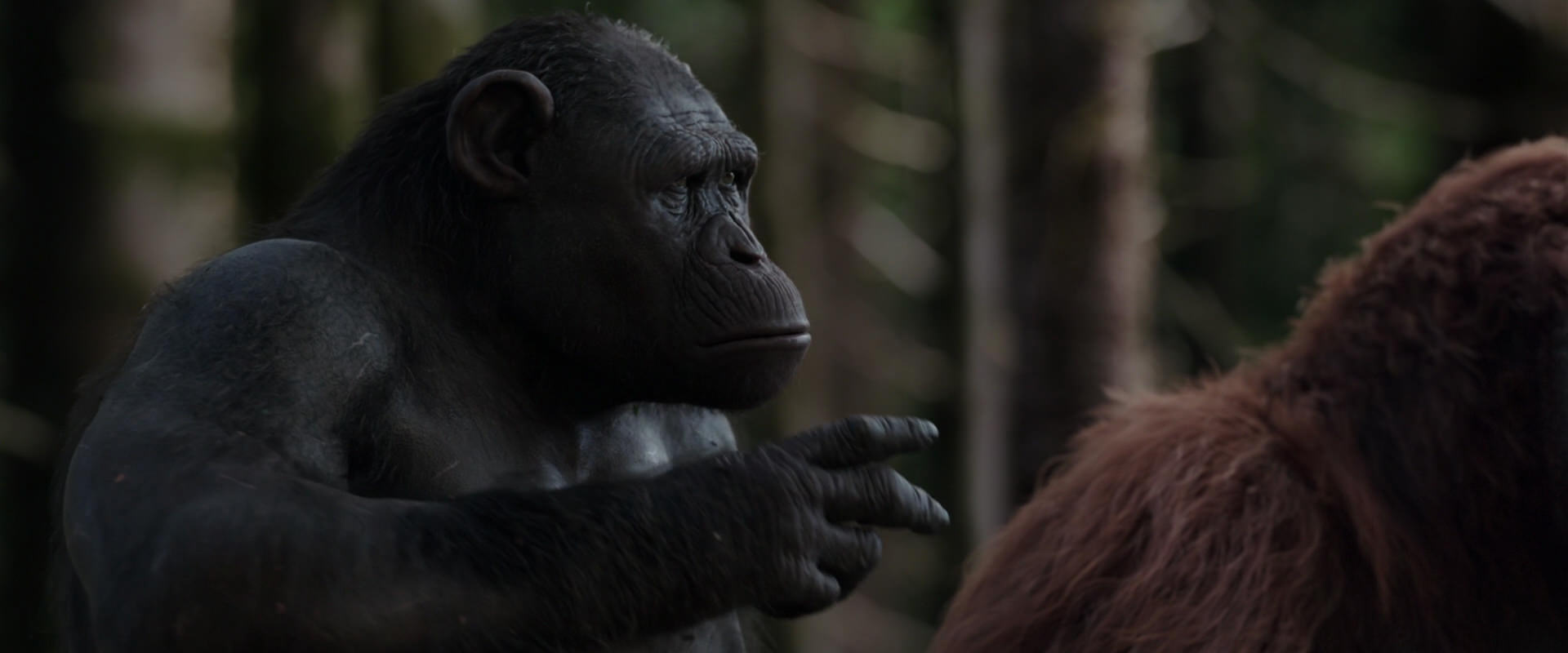 War for the Planet of the Apes (2017) HD screenshot 3092