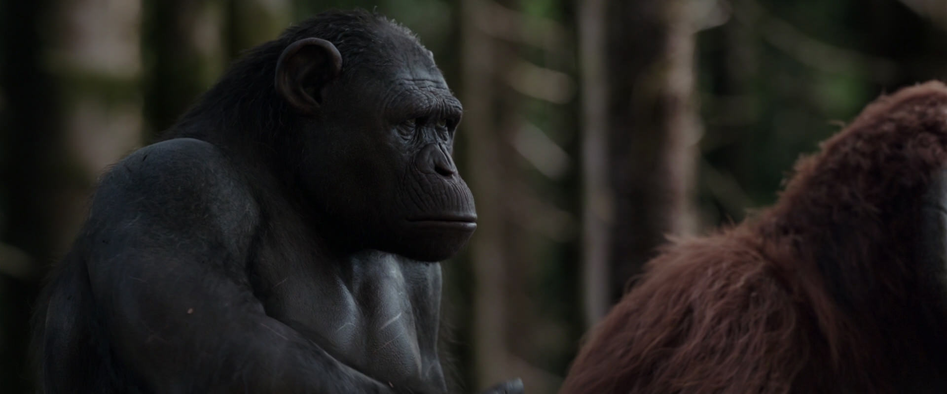 War for the Planet of the Apes (2017) screencap 3093