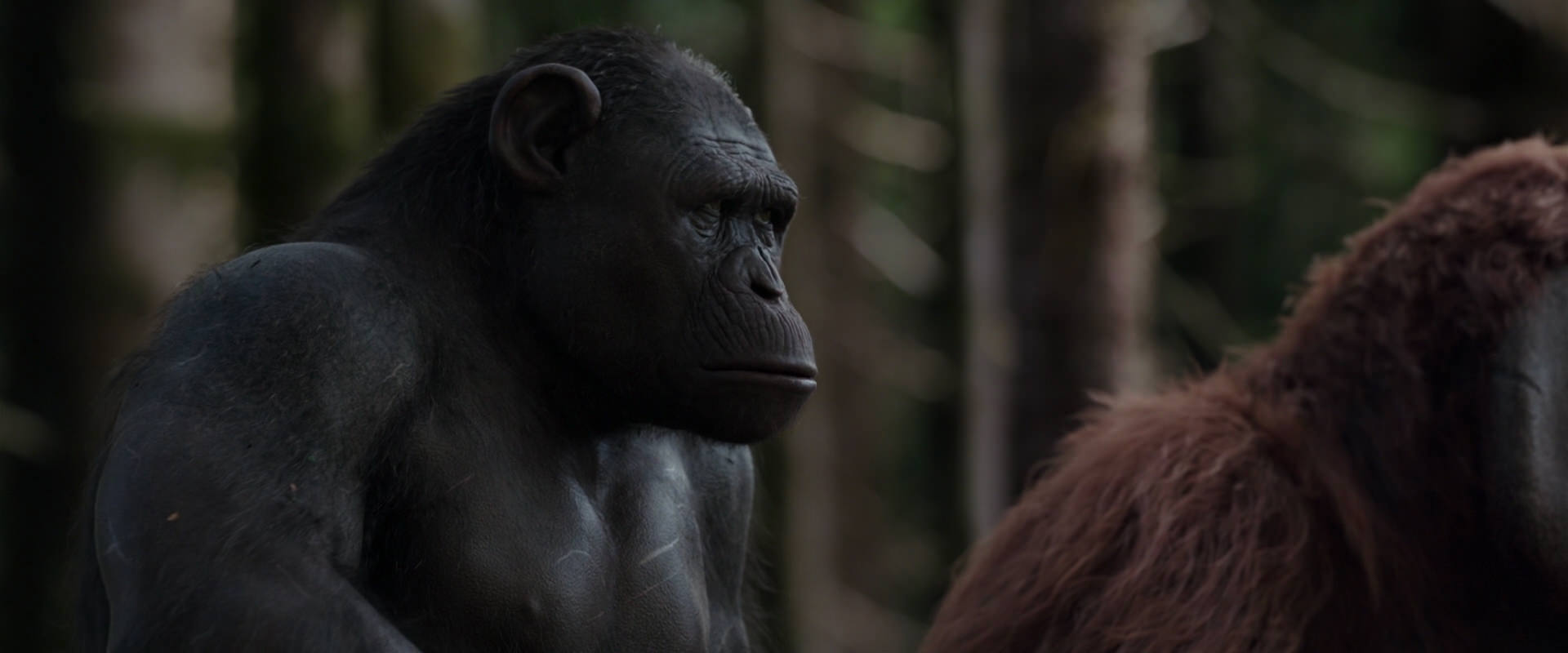 War for the Planet of the Apes (2017) screencap 3096