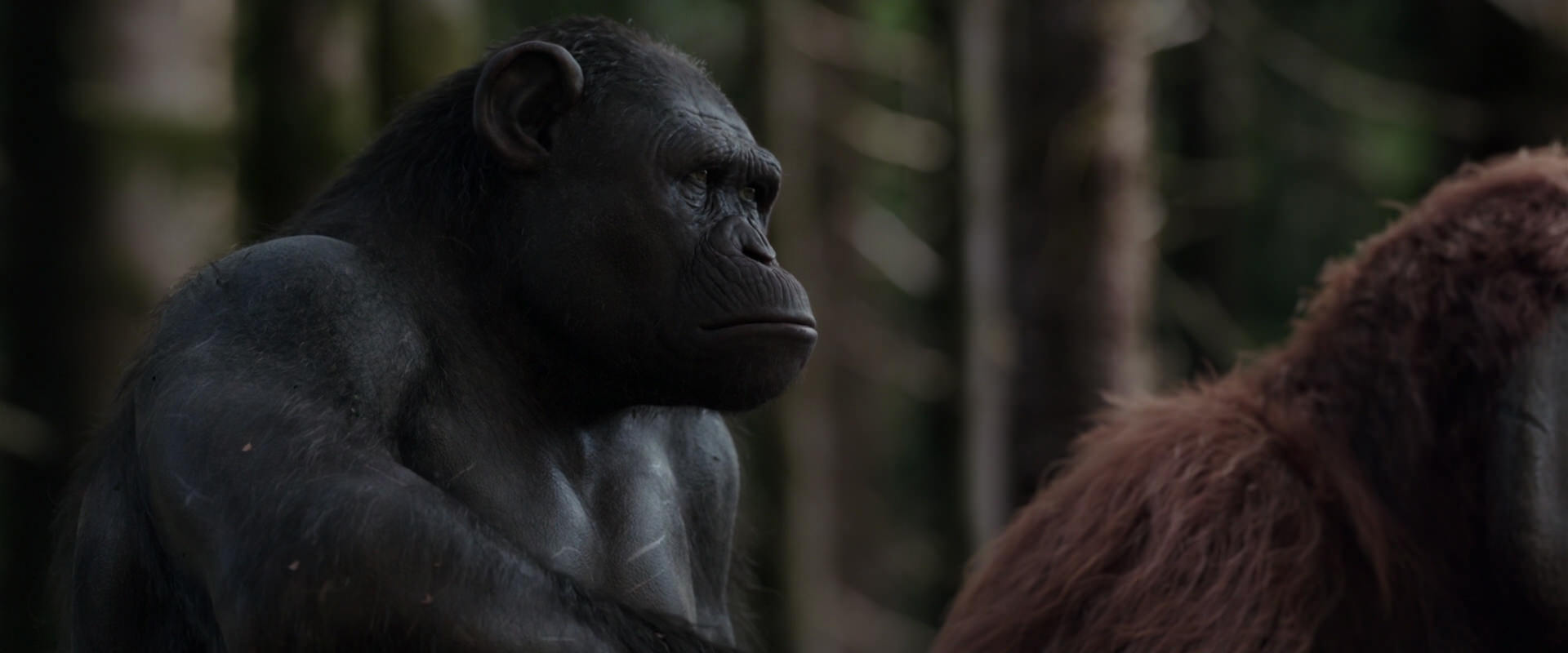 War for the Planet of the Apes (2017) HD screenshot 3101