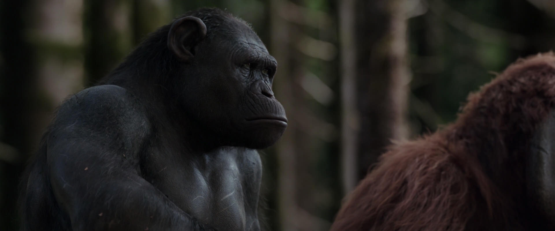 War for the Planet of the Apes (2017) screencap 3102