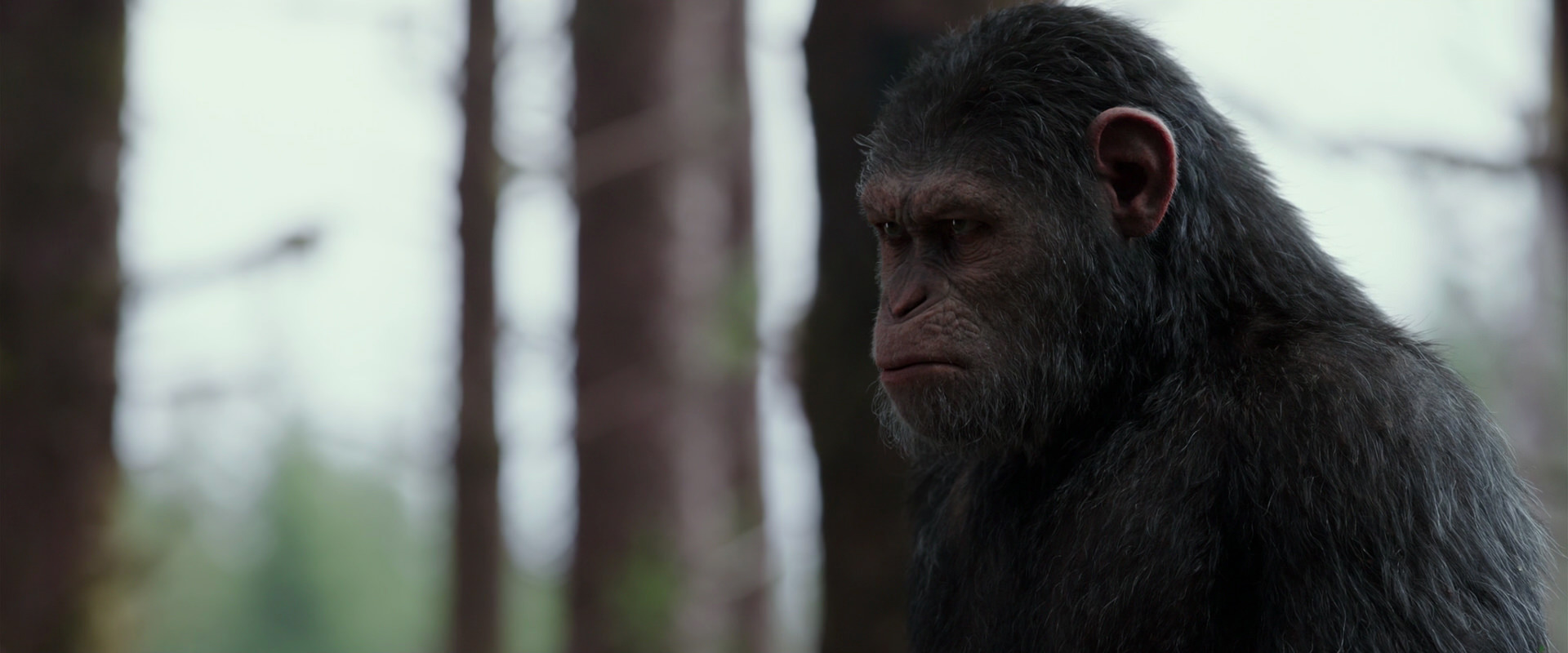 War for the Planet of the Apes (2017) HD screenshot 3104
