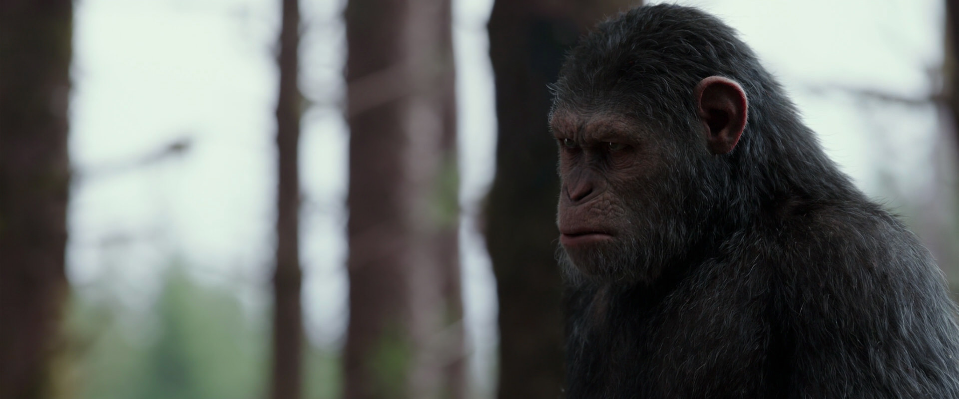War for the Planet of the Apes (2017) HD screenshot 3110