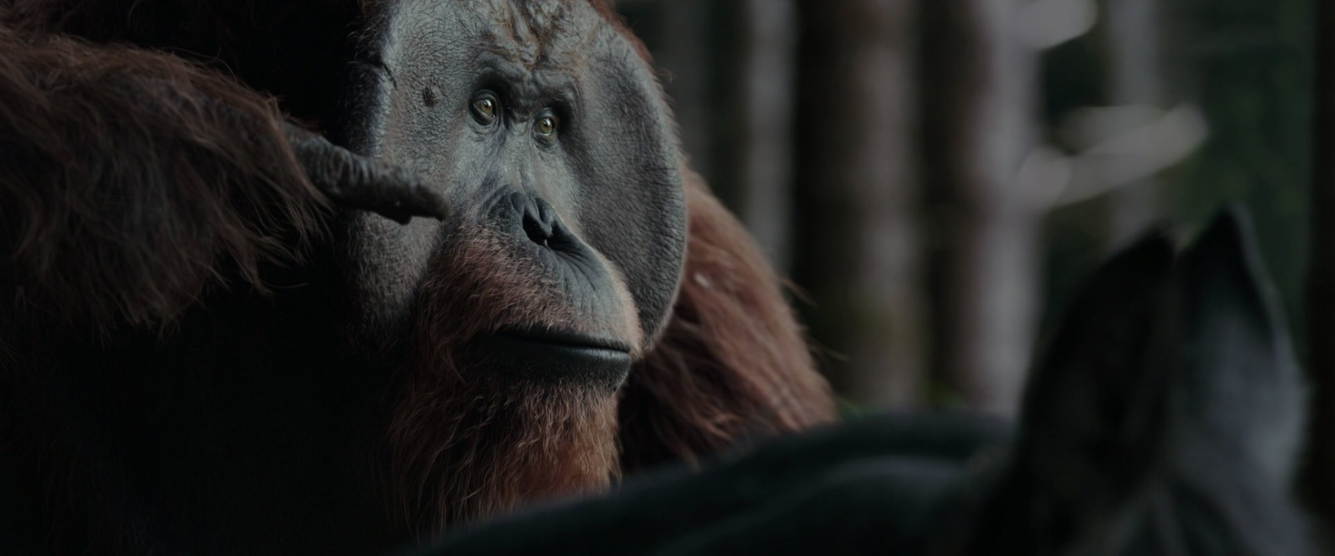 War for the Planet of the Apes (2017) HD screenshot 3119