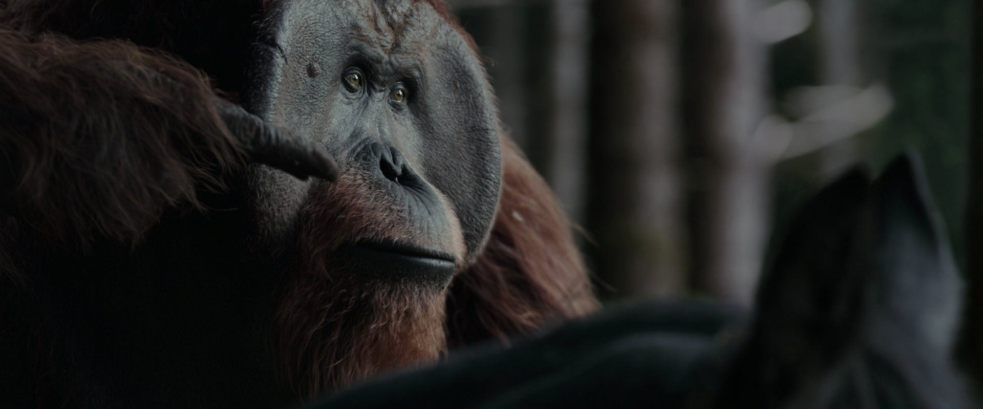 War for the Planet of the Apes (2017) screencap 3120