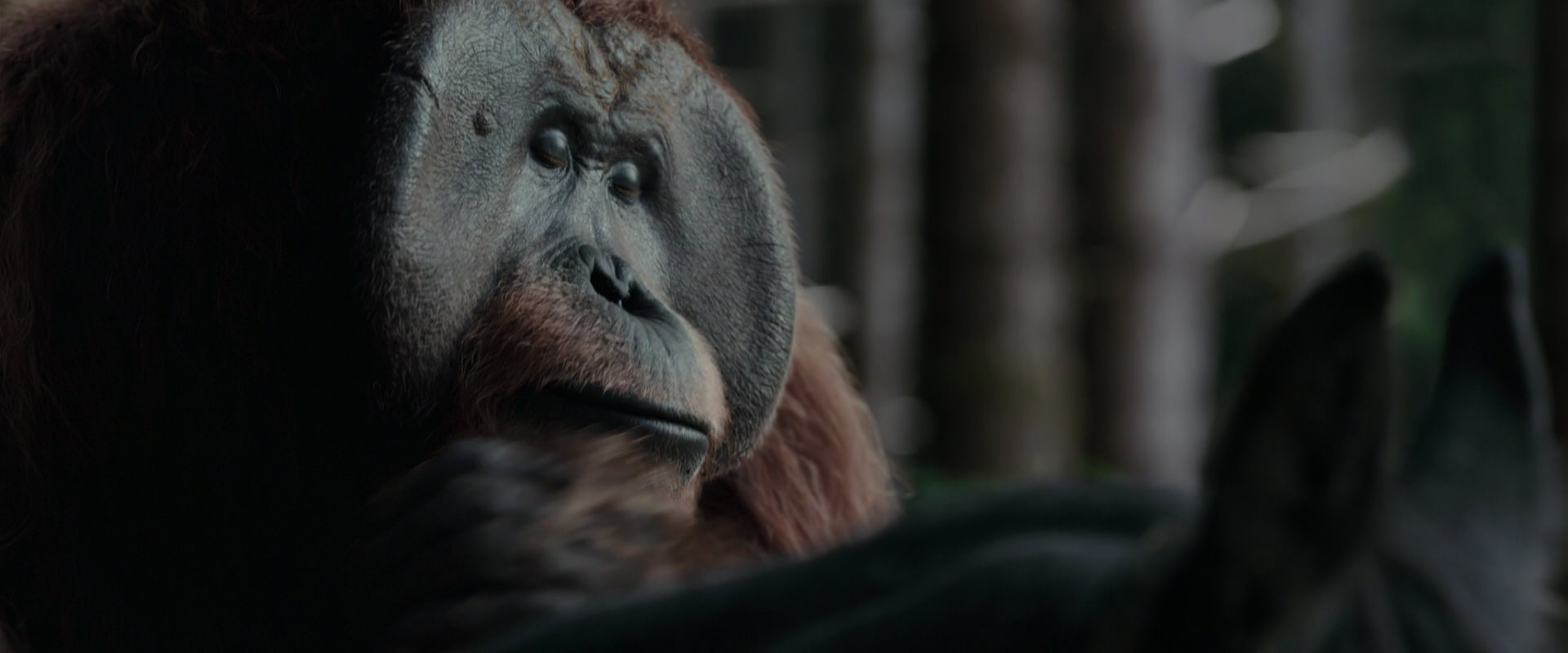 War for the Planet of the Apes (2017) screencap 3126