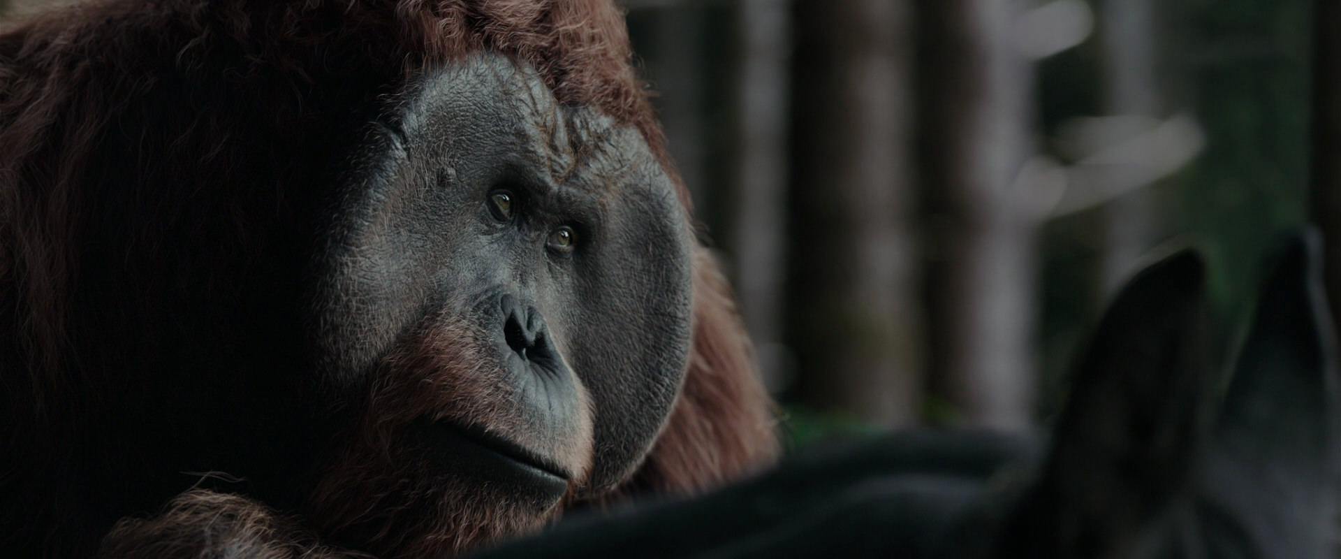 War for the Planet of the Apes (2017) screencap 3132