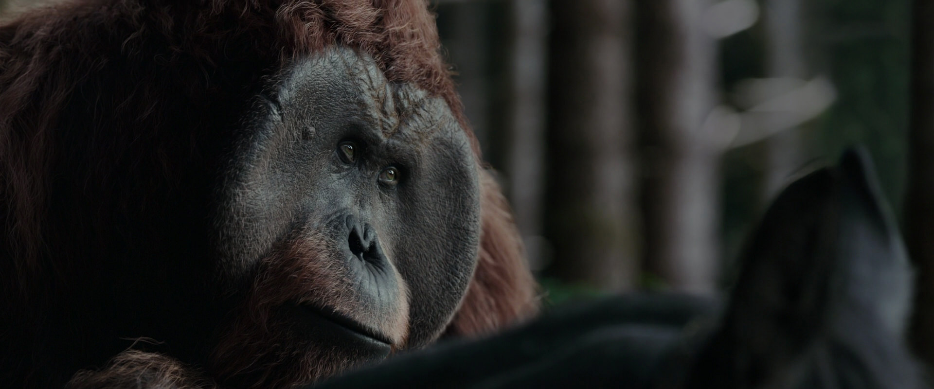 War for the Planet of the Apes (2017) HD screenshot 3134