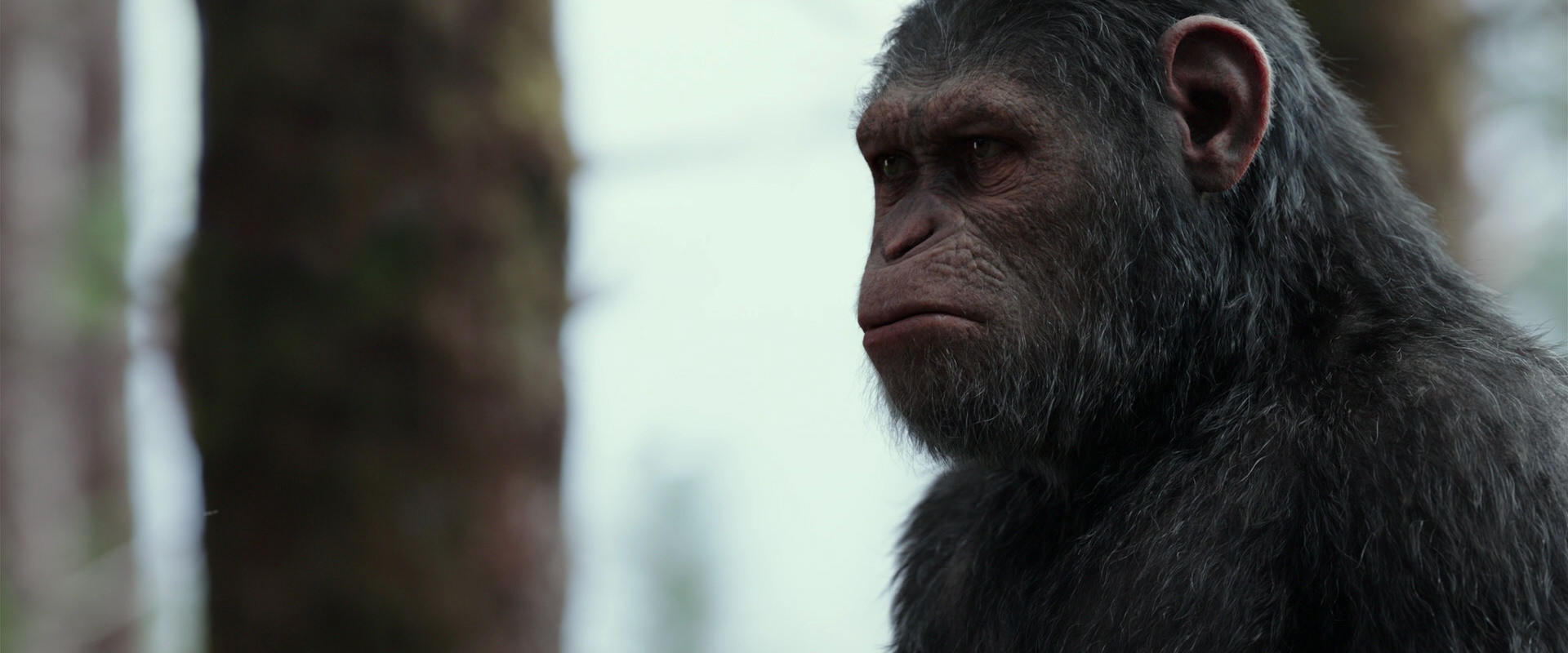 War for the Planet of the Apes (2017) HD screenshot 3140
