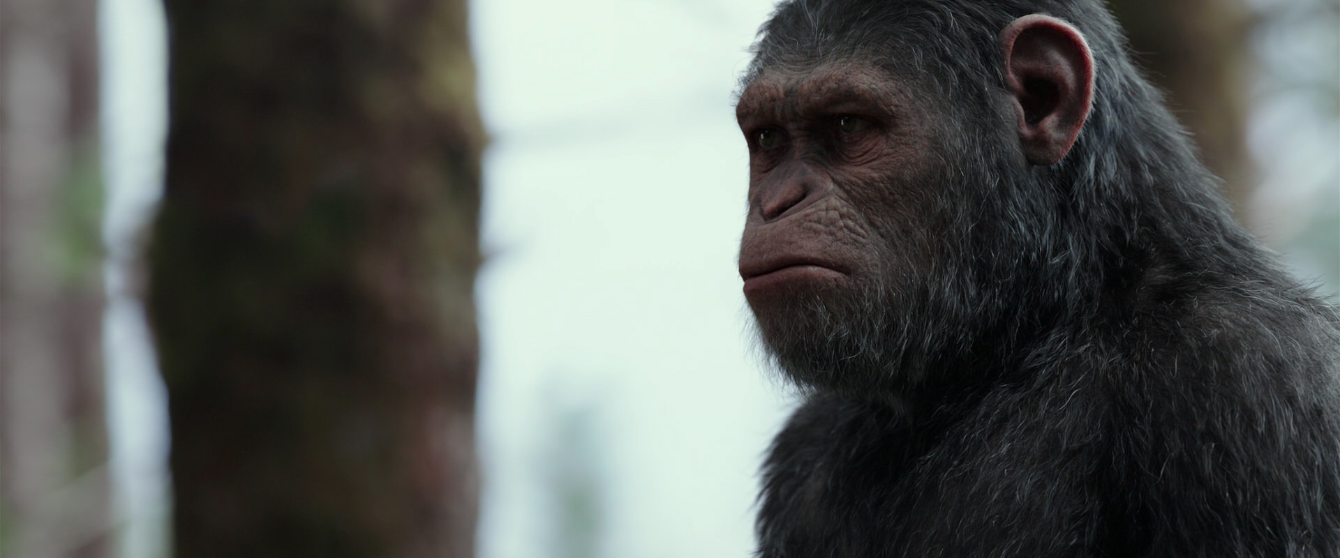 War for the Planet of the Apes (2017) HD screenshot 3143