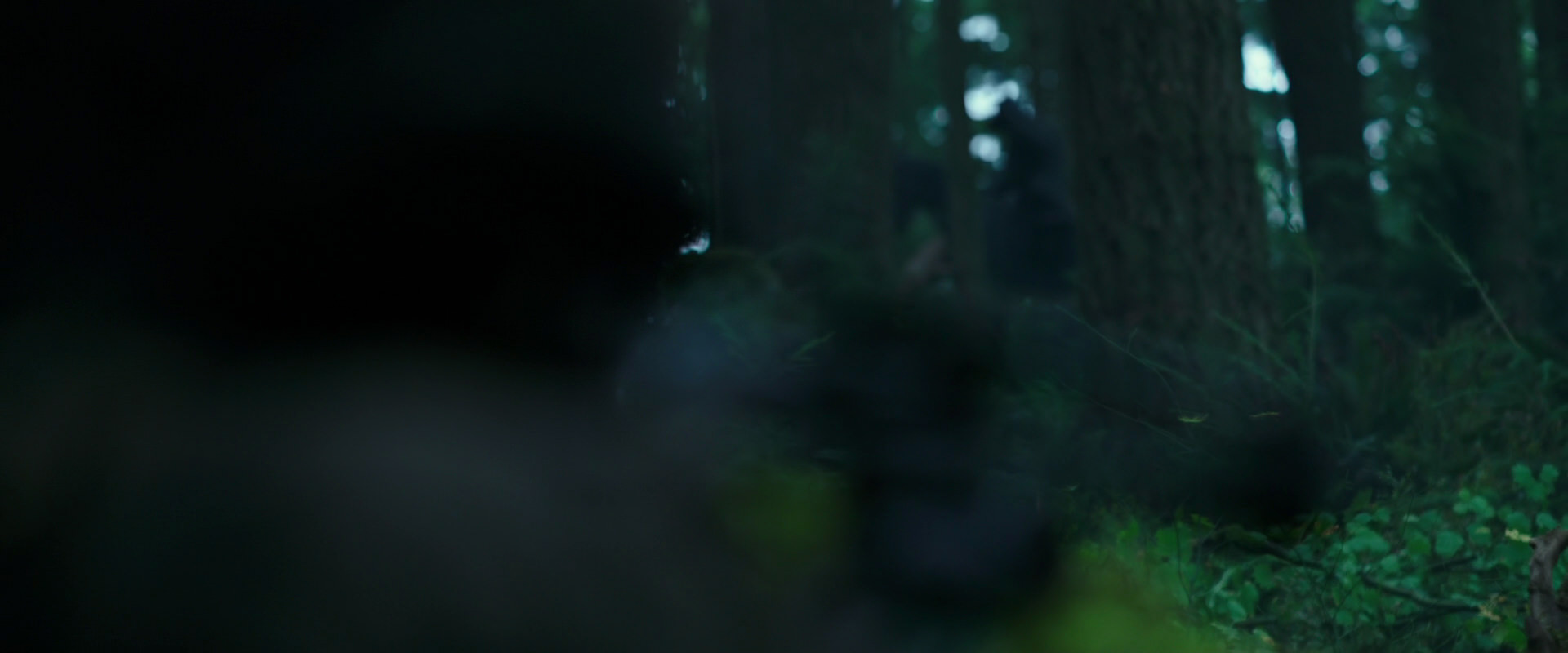 War for the Planet of the Apes (2017) screencap 315