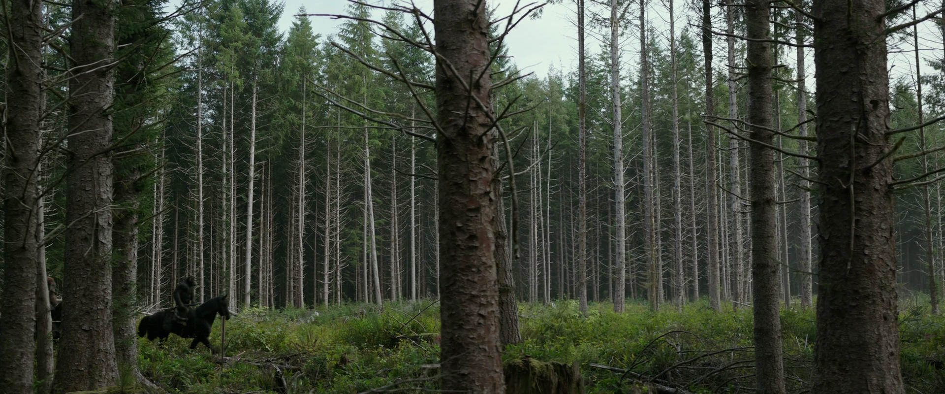 War for the Planet of the Apes (2017) HD screenshot 3152