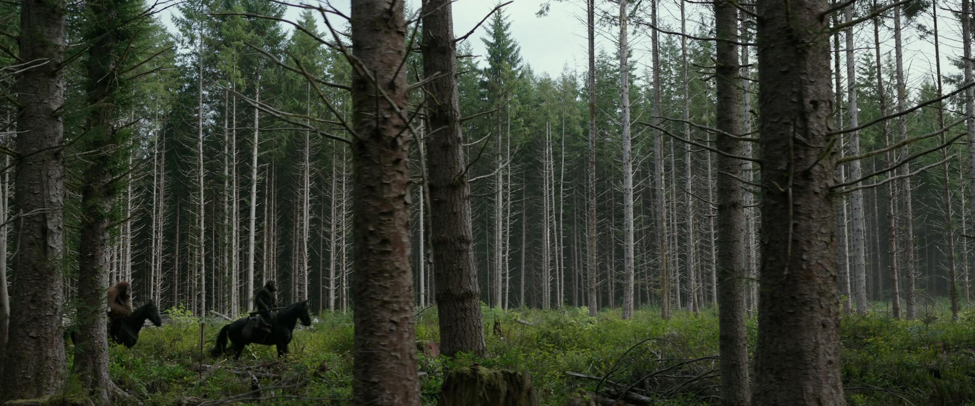 War for the Planet of the Apes (2017) movie still 3154