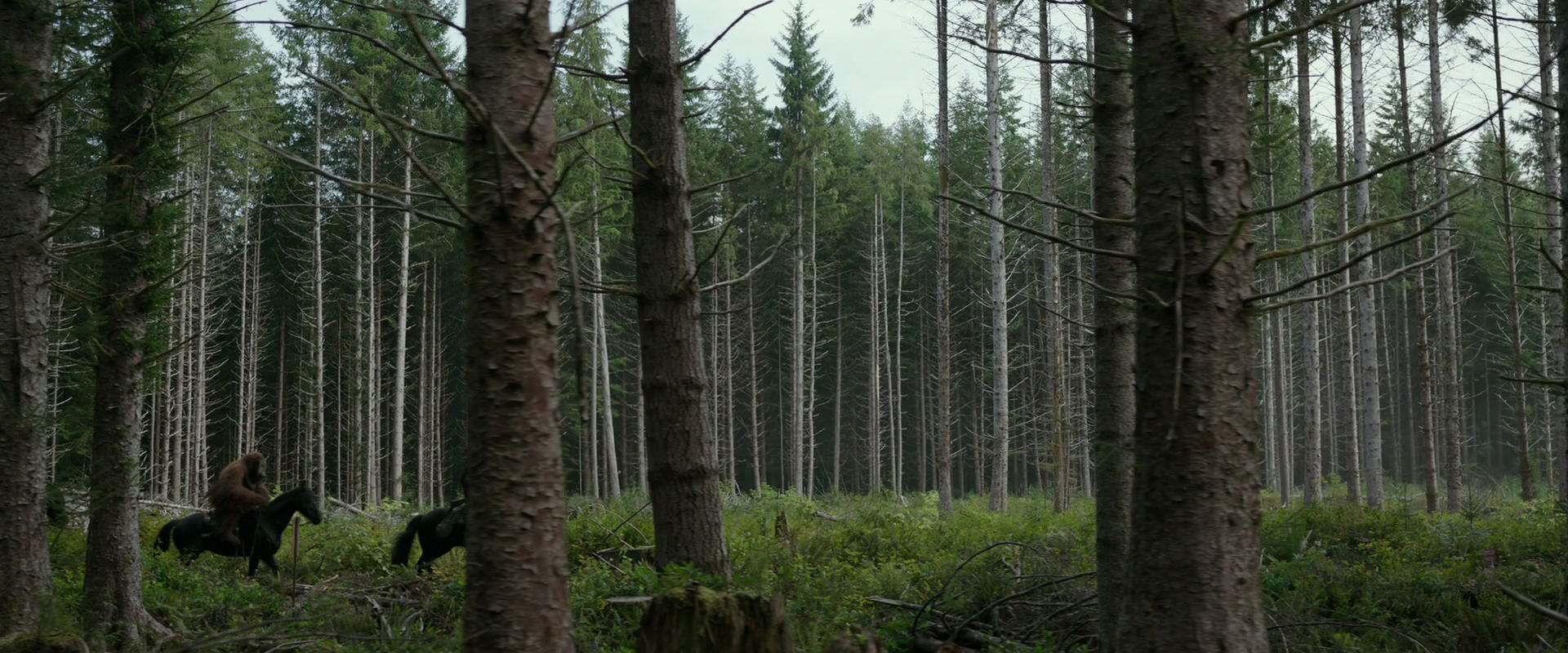 War for the Planet of the Apes (2017) HD screenshot 3155