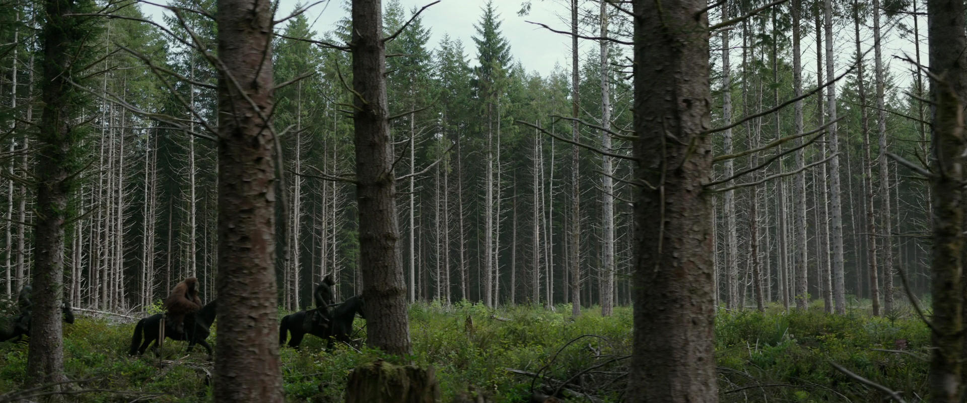 War for the Planet of the Apes (2017) screencap 3156