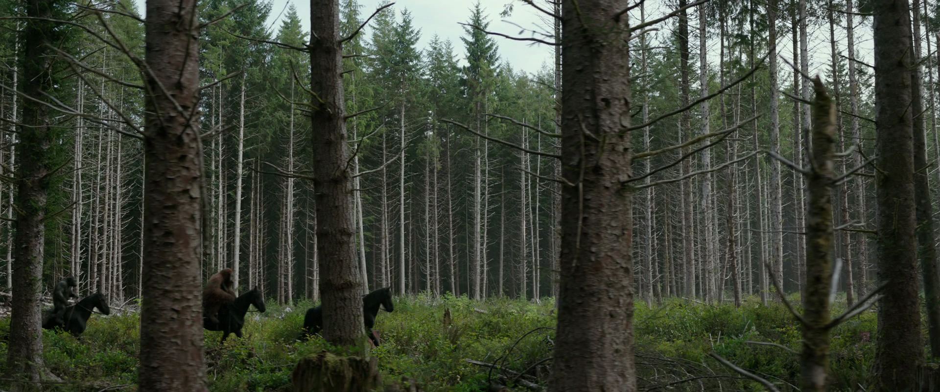 War for the Planet of the Apes (2017) movie still 3157