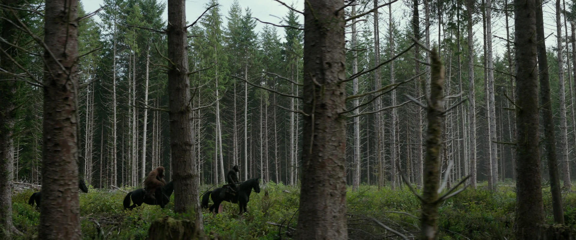 War for the Planet of the Apes (2017) HD screenshot 3158