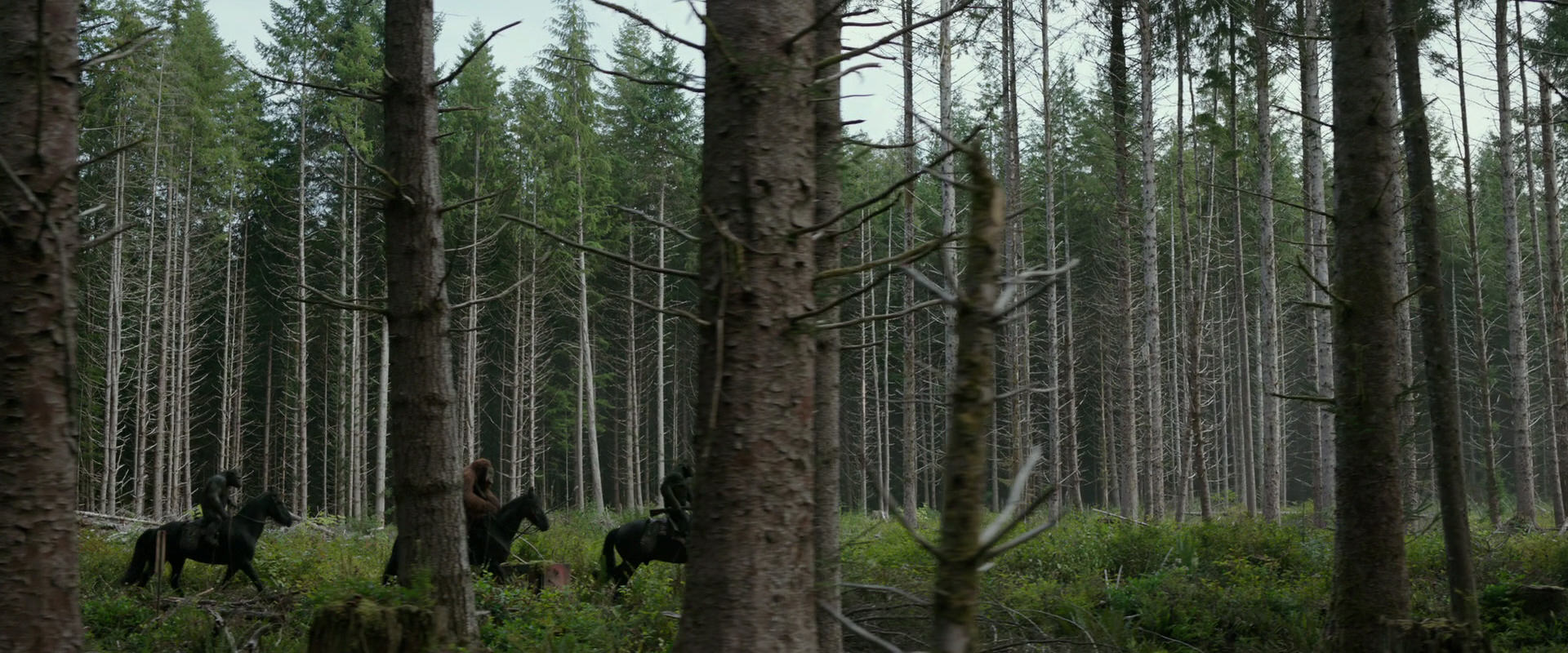 War for the Planet of the Apes (2017) screencap 3159