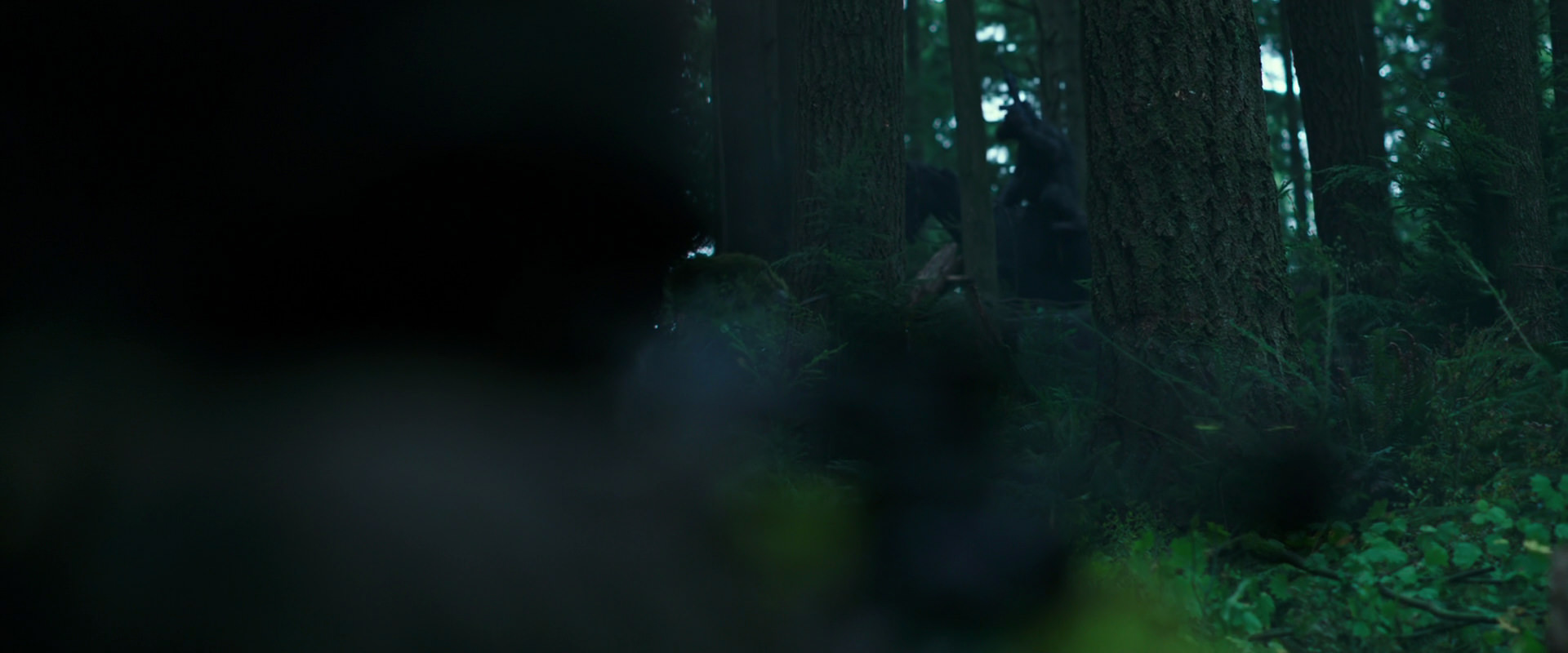 War for the Planet of the Apes (2017) movie still 316