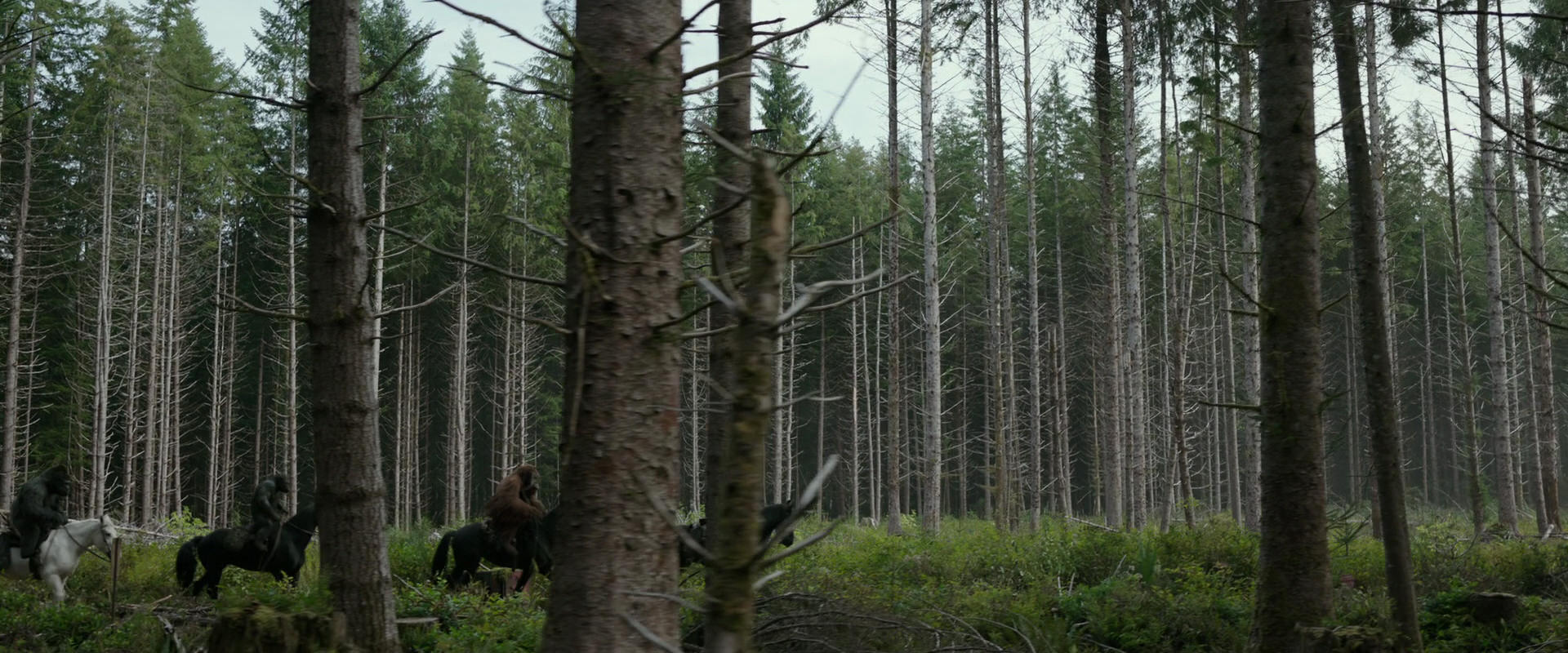 War for the Planet of the Apes (2017) movie still 3160