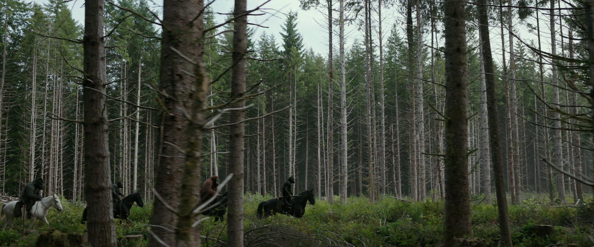 War for the Planet of the Apes (2017) HD screenshot 3161