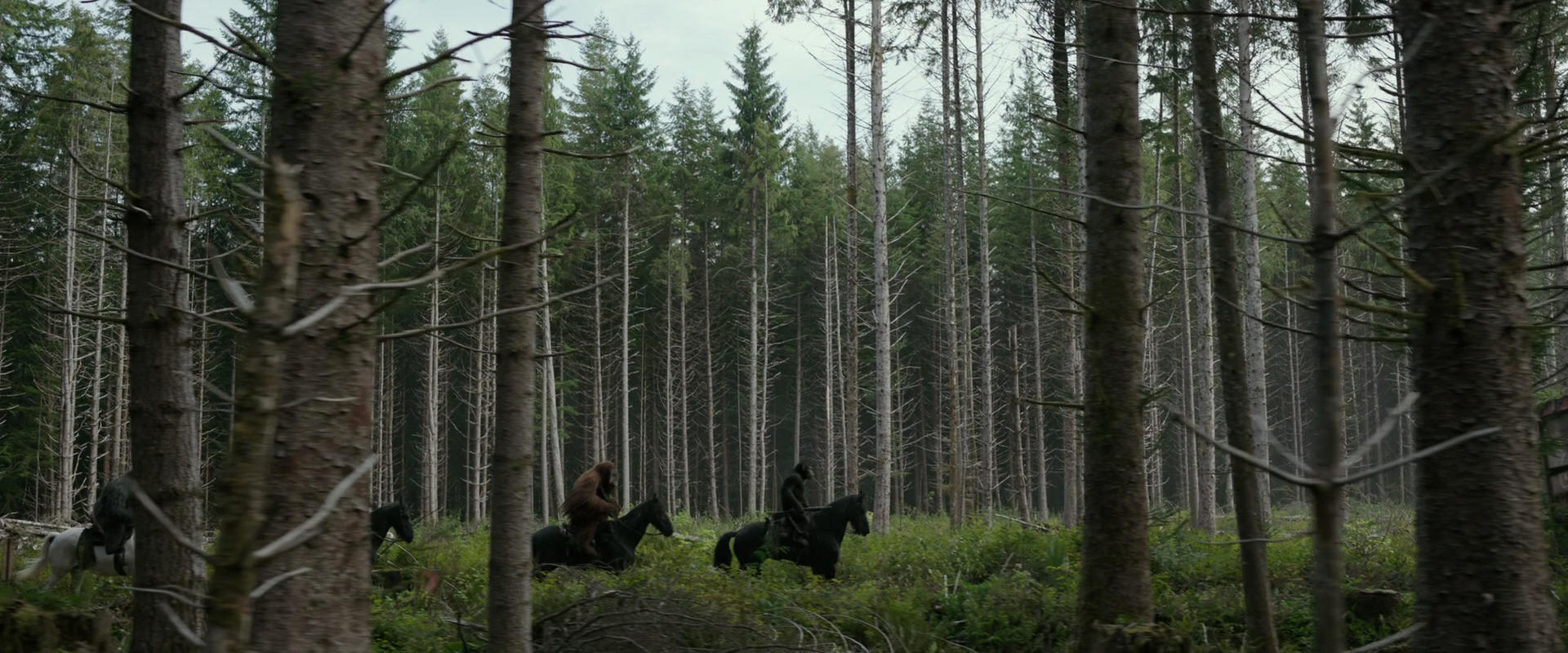 War for the Planet of the Apes (2017) screencap 3162