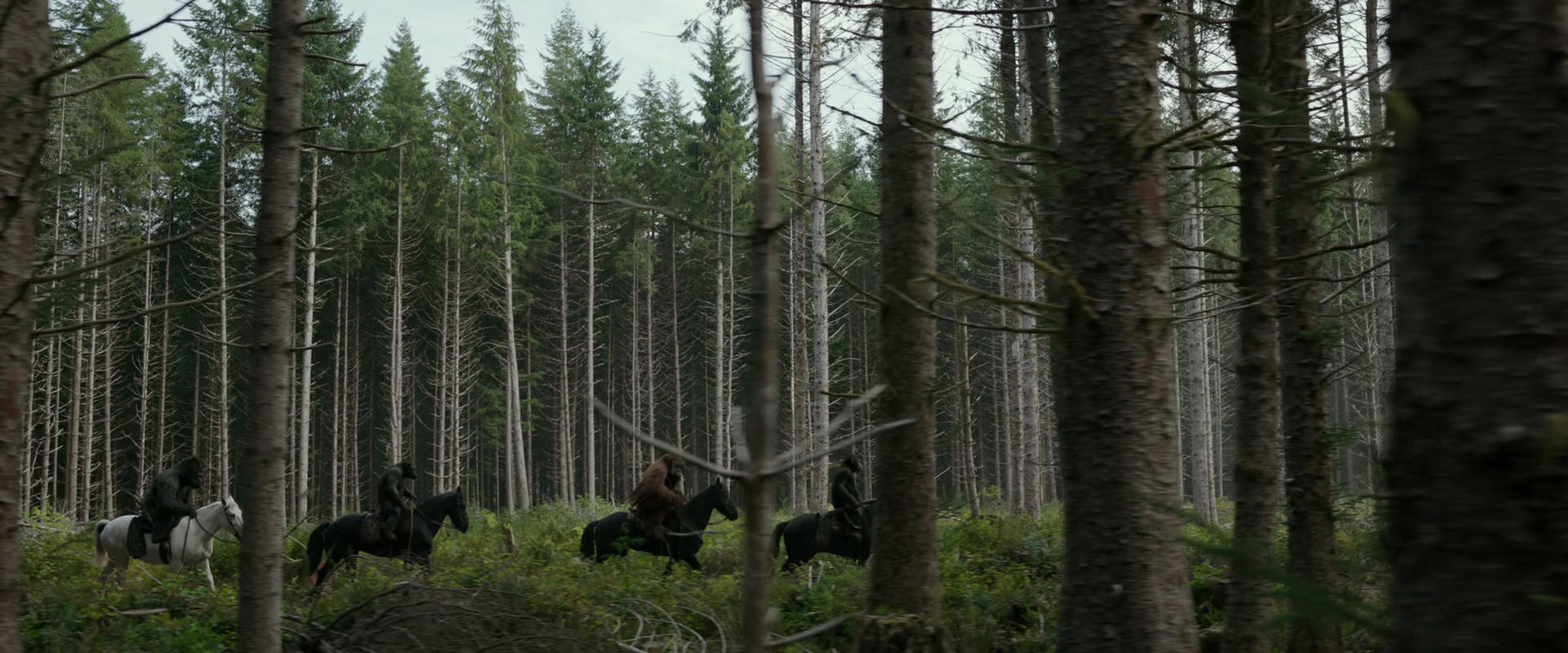 War for the Planet of the Apes (2017) HD screenshot 3164