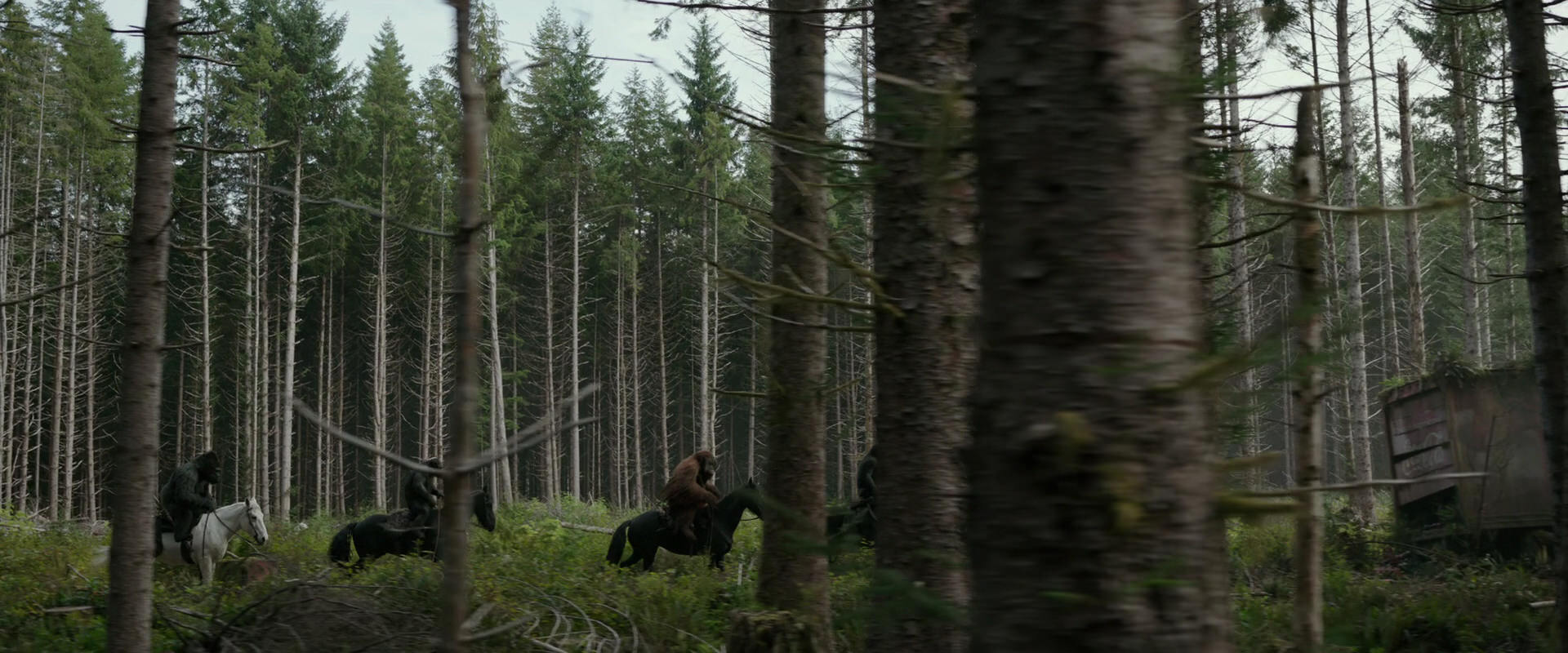 War for the Planet of the Apes (2017) screencap 3165