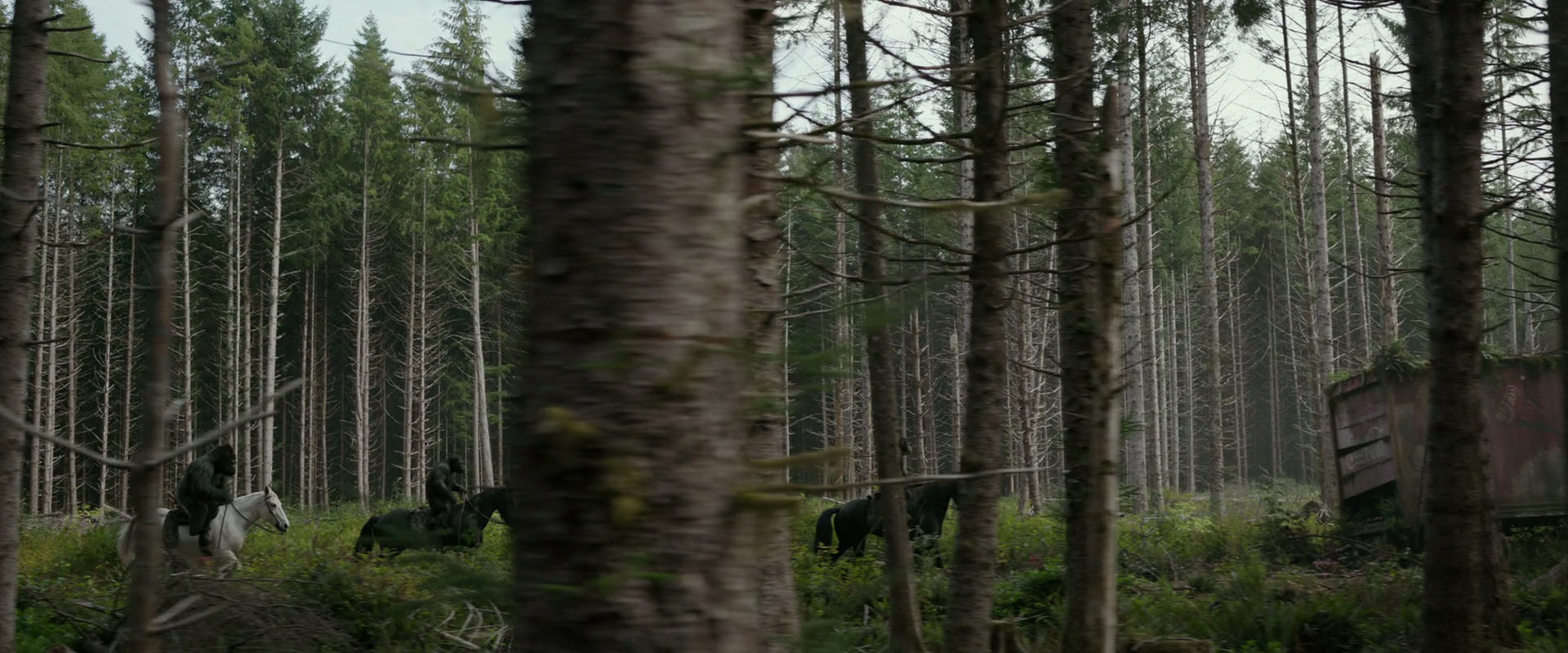 War for the Planet of the Apes (2017) movie still 3166