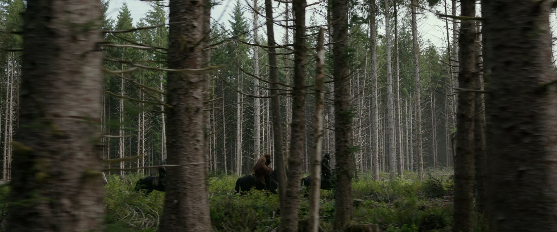 War for the Planet of the Apes (2017) HD screenshot 3167