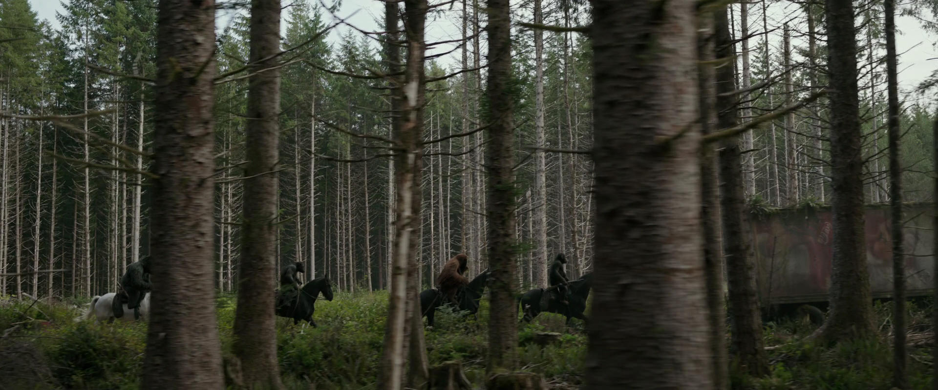 War for the Planet of the Apes (2017) screencap 3168