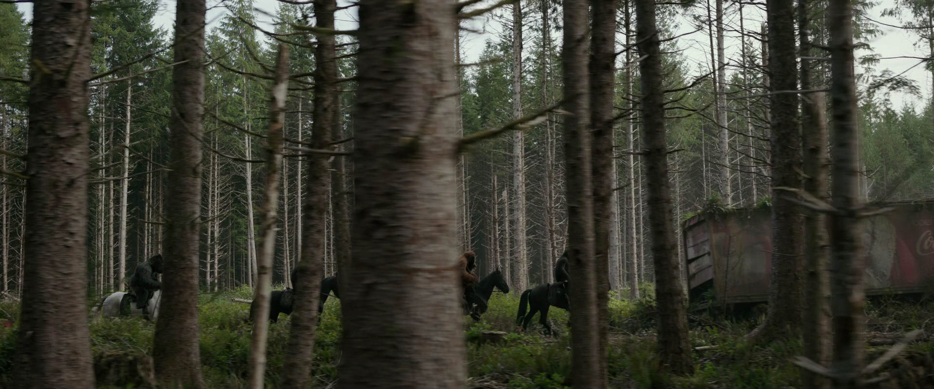 War for the Planet of the Apes (2017) movie still 3169