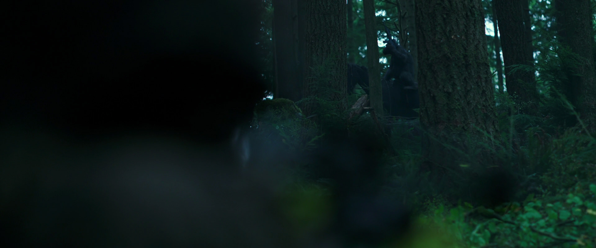 War for the Planet of the Apes (2017) HD screenshot 317