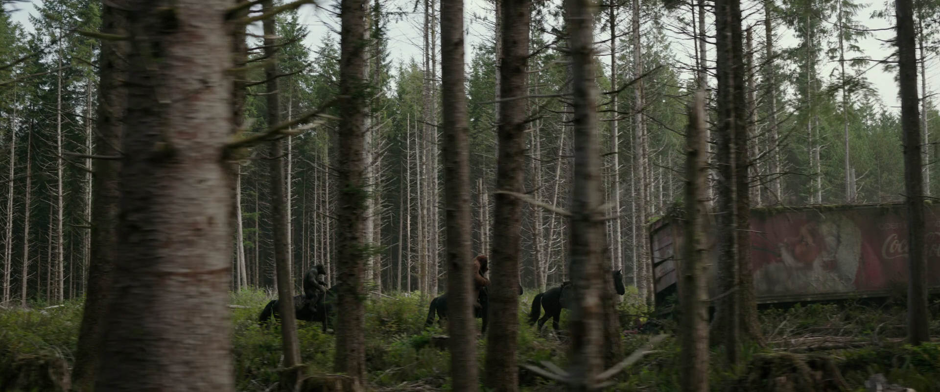War for the Planet of the Apes (2017) HD screenshot 3170