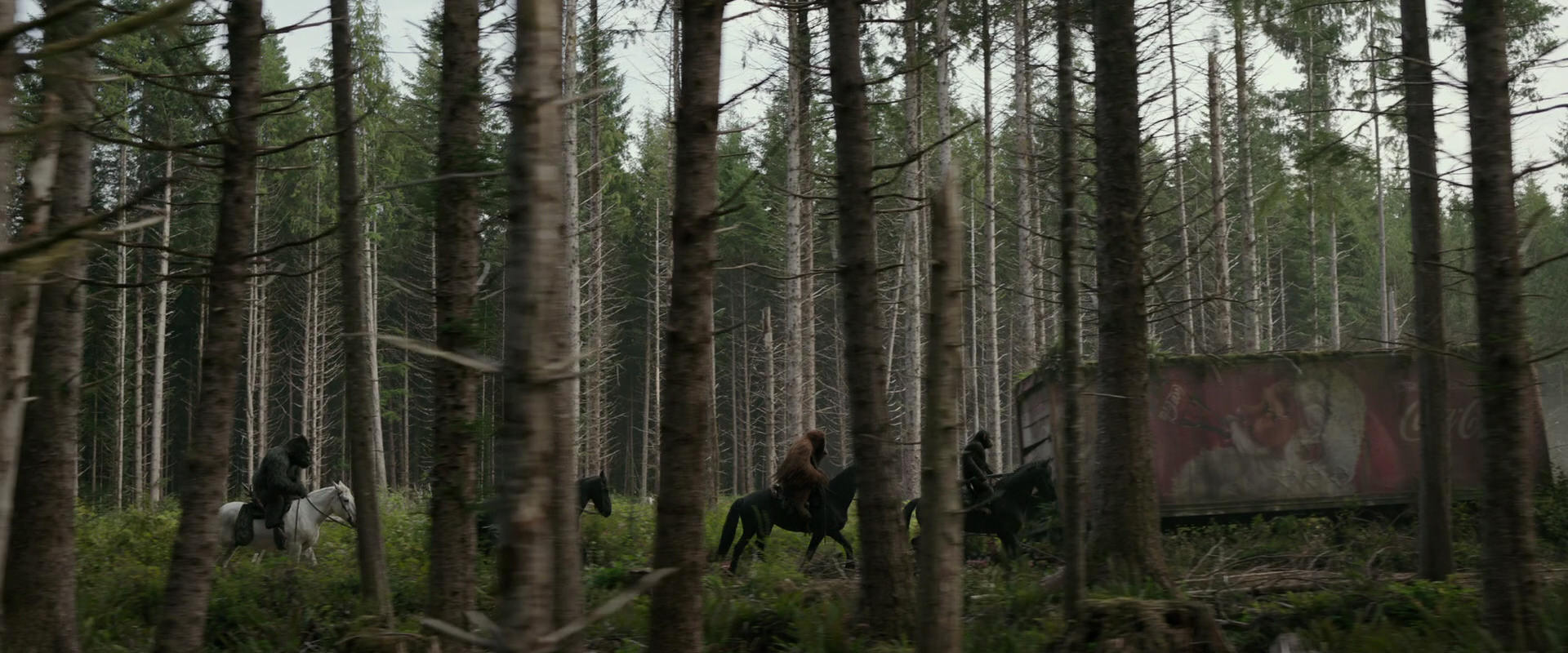 War for the Planet of the Apes (2017) screencap 3171