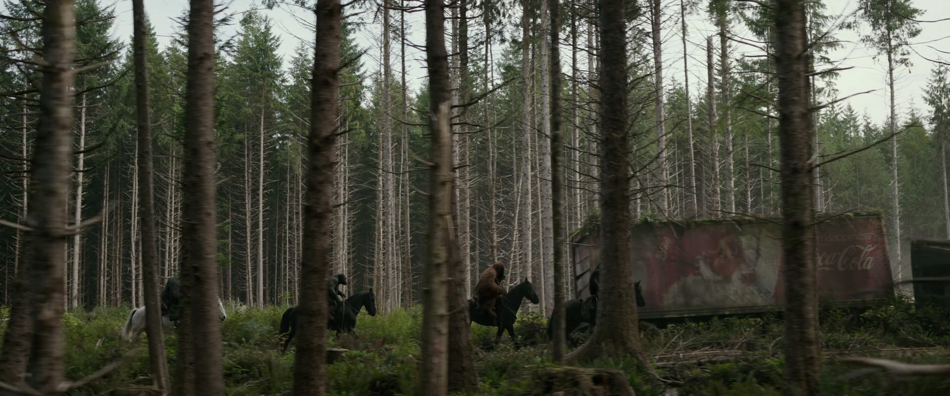 War for the Planet of the Apes (2017) movie still 3172