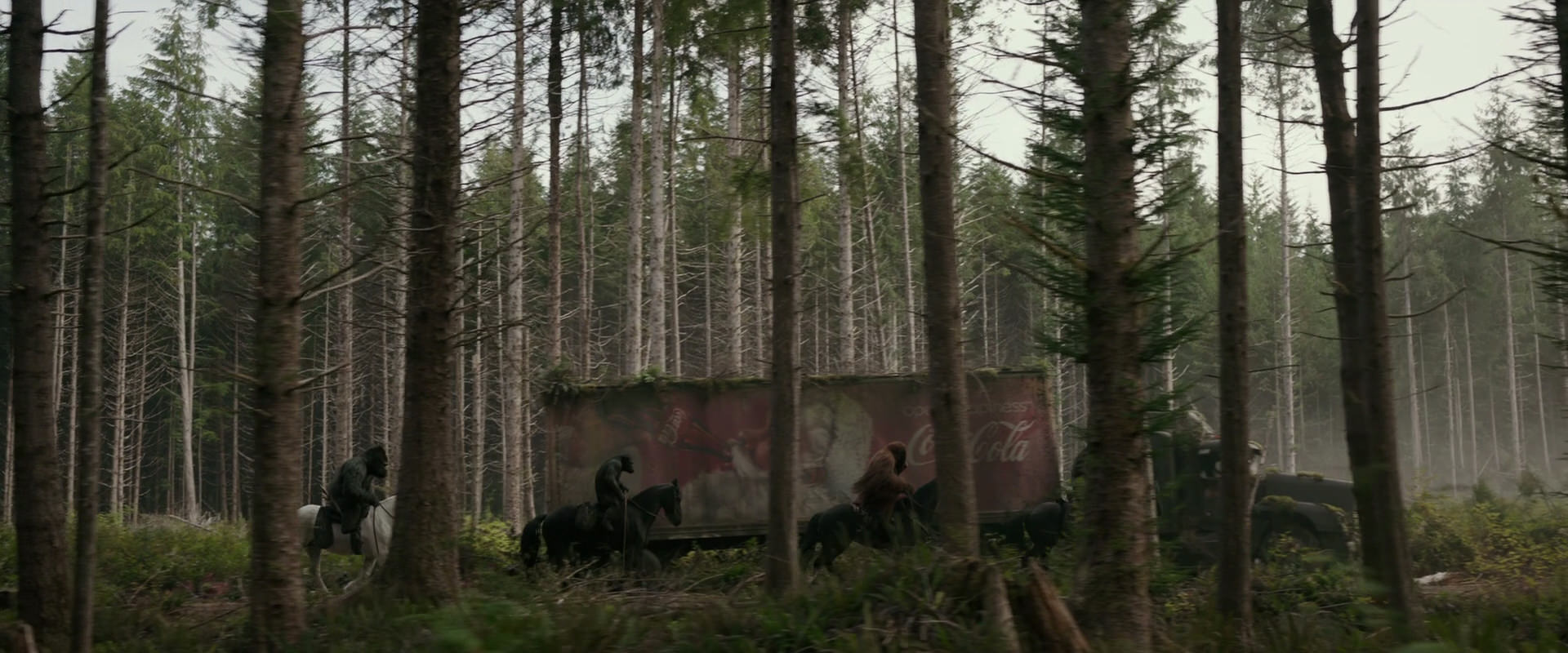 War for the Planet of the Apes (2017) movie still 3178