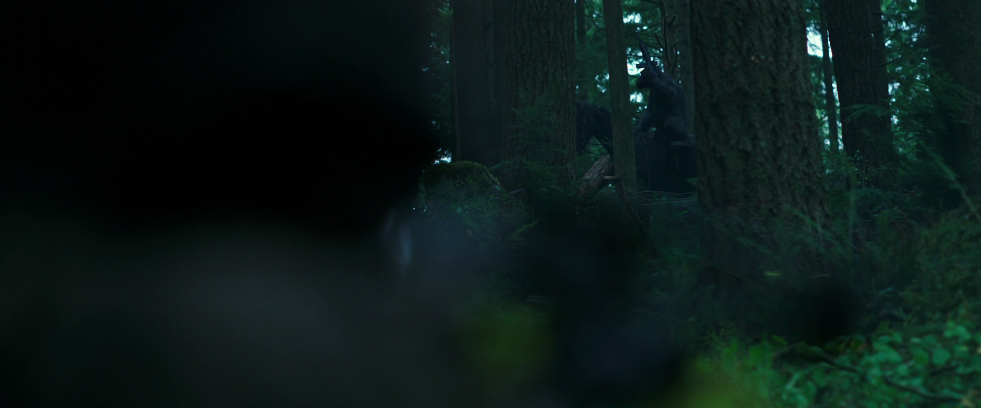 War for the Planet of the Apes (2017) screencap 318
