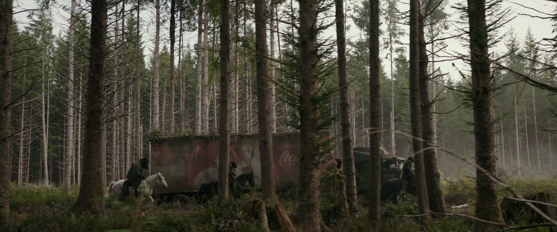 War for the Planet of the Apes (2017) screencap 3180