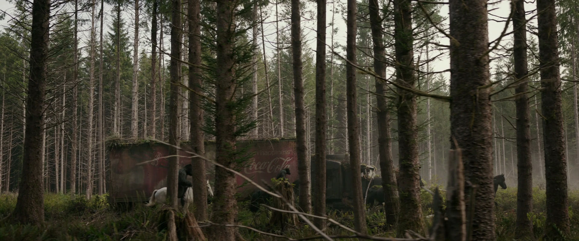 War for the Planet of the Apes (2017) screencap 3183