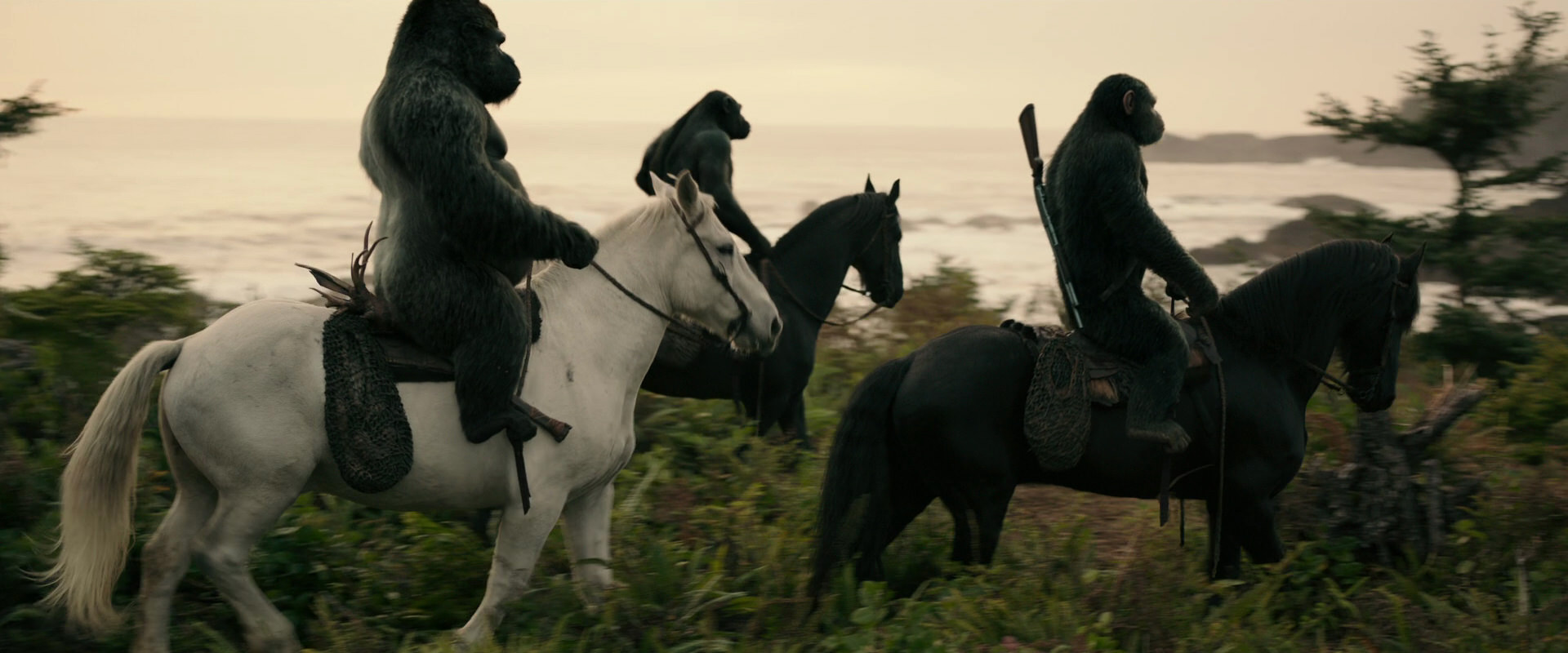 War for the Planet of the Apes (2017) screencap 3189