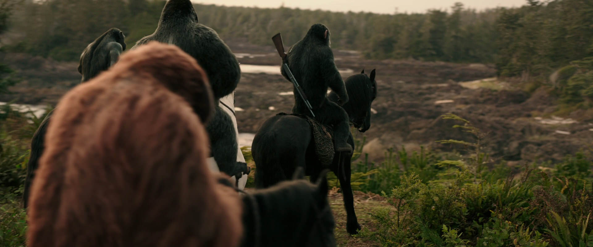 War for the Planet of the Apes (2017) screencap 3195