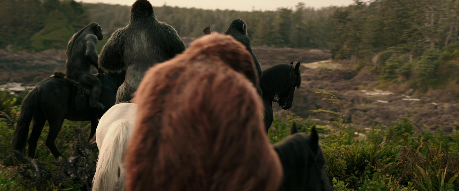 War for the Planet of the Apes (2017) movie still 3196